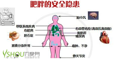 肥胖危害大 肥胖一族要警惕